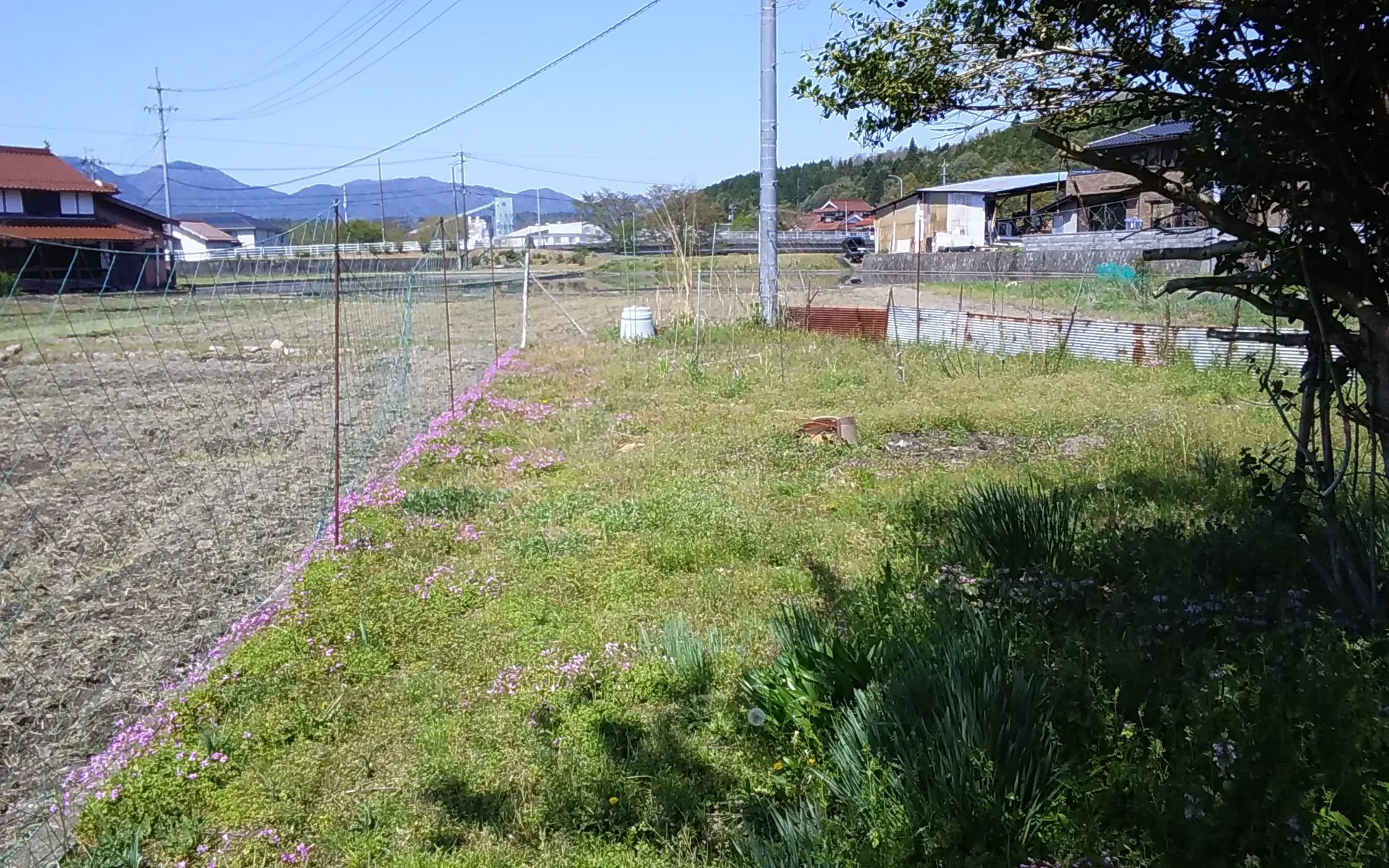 私事ですが★塗替えマスターズ★古民家再生チーム